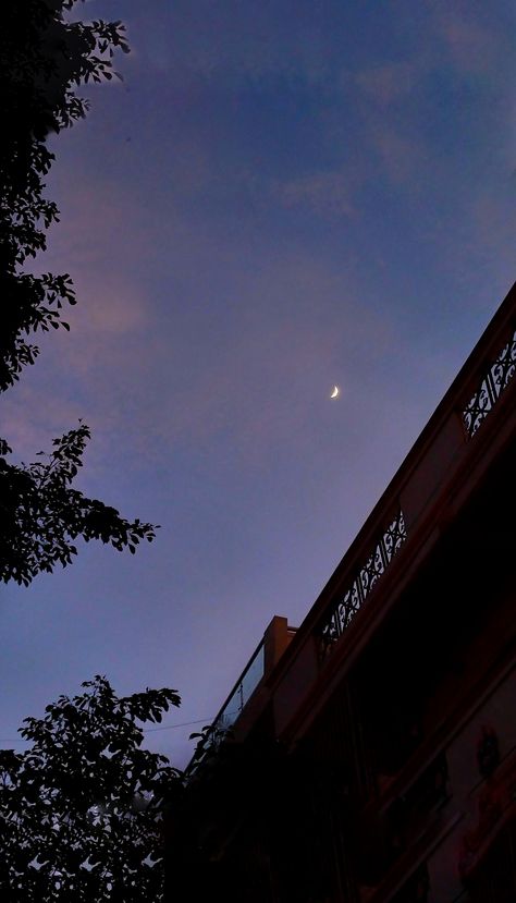 View of crescent moon beside a terrace of a house, framed by the silhouette of a tree against a blue and pink evening sky. Moon From Terrace, Evening Sky, Crescent Moon, A House, Crescent, Terrace, It Cast, Moon, Quick Saves