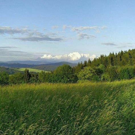 Pastel Aesthetic Flowers, Green Pastel Aesthetic, Meadows Aesthetic, Ethereal Green, Japanese Animals, Aesthetic Picnic, Landscape Forest, Cottage Aesthetic, Cottagecore Cottage