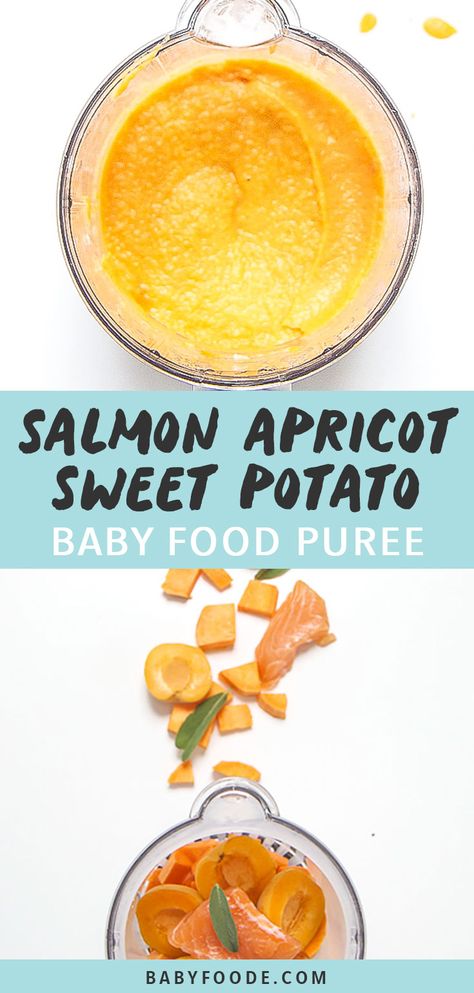 This Salmon, Sweet Potato + Apricot Baby Food Puree is loaded with protein, Omega-3 fatty acids, vitamin A and C and calcium. With all that goodness this puree is easily a superpower puree for baby!  #babyfood #salmon #sweetpotato #stage2 Salmon Sweet Potato, Sweet Potato Baby Food, Easy Homemade Baby Food, Baby Purees, Baby Food Puree, Puree Recipes, Salmon And Sweet Potato, Food Combos, Food For Baby