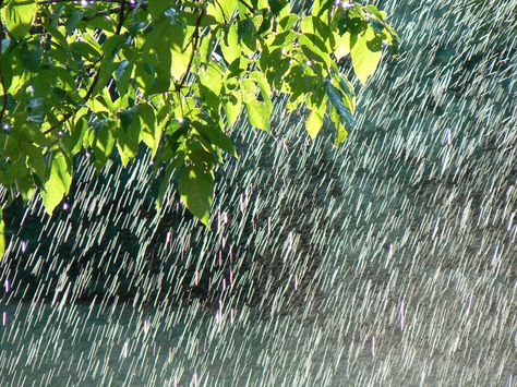 . Showers Aesthetic, Rain And Thunderstorms, Rain Pictures, Summer Rain, Nature Aesthetic, Rainy Days, Your Soul, The Rain, Mother Nature