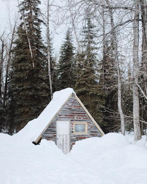 9. Cabin fever is no joke people! Dry Cabin, Alaskan Homes, Alaska Cabin, Alaska House, Old Cabins, Off Grid Cabin, House Cabin, Fun Places To Go, States In America