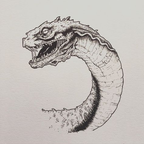 Basilisk Drawing, Snake Cartoon Drawing, Basilisk Snake, Basilisk Harry Potter, Harry Potter Drawing, Snake Cartoon, Harry Potter Creatures, Harry Potter Dragon, Harry Potter Sketch