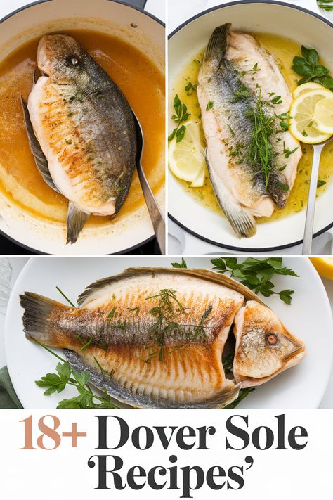 Savor the flavors of mouthwatering Dover sole with these amazing recipes! From buttery lemon garlic to crispy pan-fried delights each dish will make your taste buds sing. Perfect for seafood lovers and dinner parties these meals are simple yet elegant. Enjoy a delicious journey with fresh fish and zesty herbs! Dover Sole Recipes, Crunchy Stuffing, Butter Fish Recipe, Sole Recipes, Soy Ginger Sauce, Easy Asparagus Recipes, Dover Sole, Lemon Caper Sauce, Marion's Kitchen