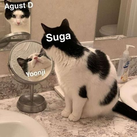 Min Yoongi Memes Funny, Yoongi Back View, Suga Meme, Jessi Kpop, Suga Agust D, Suga Suga, Bts Icon, Suga Bts Swag, K Wallpaper