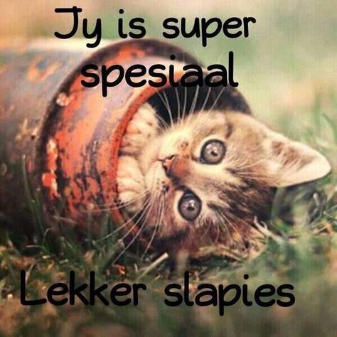 Lekker Slaap Afrikaans Oulik, Bff Messages, Lekker Slaap Afrikaans, Nagsê Boodskappies, Lekker Slapies, Goodnight Wishes, Love You Poems, Lekker Slaap, Good Night Funny