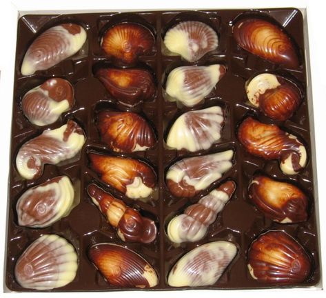 Guylian Chocolates ... these milk chocolate shells are a must for me......... just so creamy Guylian Chocolate, Seashell Chocolates, Champagne Chocolate, Chocolate Cake Cookies, Cookie Ball, Roasted Chestnuts, Chocolate Shells, Chocolate Shop, Belgian Chocolate