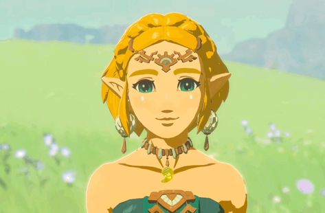 Legend Of Zelda Characters, Botw Zelda, Hyrule Warriors, Link Zelda, Banner Gif, Jojo Siwa, Aesthetic Gif, Breath Of The Wild, The Legend Of Zelda