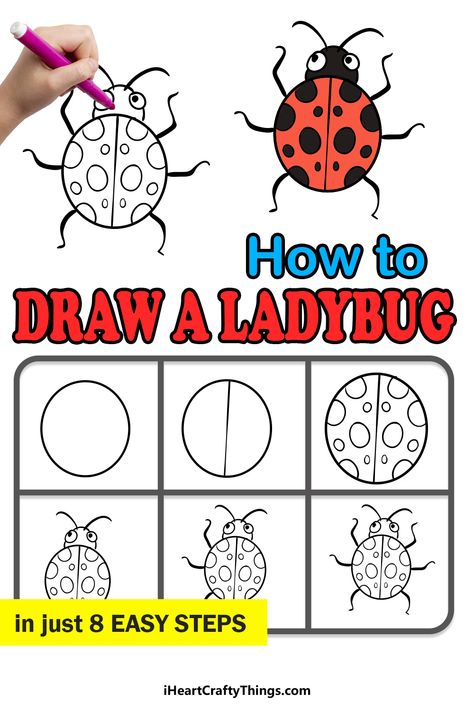 Draw Miraculous Ladybug, Ladybird Drawing, Draw A Ladybug, Draw Bugs, Insect Art Projects, Ladybug Drawing, Cartoon Ladybug, Drawing Easy Step By Step, Bugs Drawing