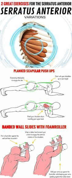 The serratus anterior muscle may be the sexiest muscle on the male physique. This is the muscle group on the side of your rib cage that resembles shark gills when theyre well developed and youre shredded. The serratus is often called the punchers or fighters muscle because its so prominent. the serratus is responsible for protracting your scapula and stabilises it against your rib cage. In this way its critical for overall shoulder health and mobility.  The serratus anterior muscle may be the se Serratus Anterior Muscle, Shark Gills, Serratus Anterior, Calisthenics Workout For Beginners, Trening Fitness, Calisthenics Workout, Boxing Workout, Gym Workout Tips, Male Physique
