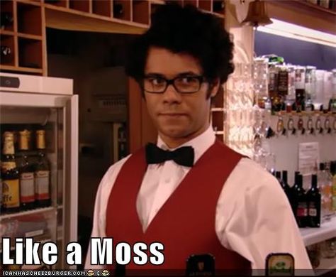 The IT Crowd Moss It Crowd, Crowd Photo, The It Crowd, Richard Ayoade, It Crowd, Extraordinary Life, Visual Media, Stuff And Thangs, Comedians