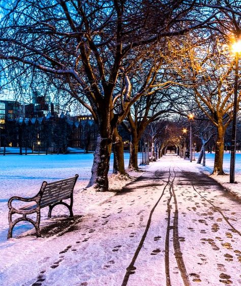 Jawbone walk in the Meadows,  Edinburgh, Scotland | by Tom_Drysdale Travel Log, Jaw Bone, England And Scotland, Edinburgh Scotland, Blue Hour, The Meadows, Capital City, Edinburgh, Winter Wonderland