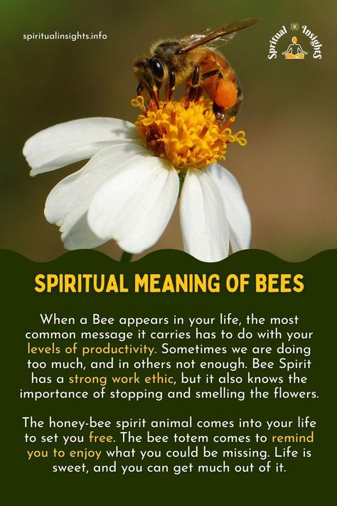 Bees have a very interesting and very intense spiritual meaning for your life! #bees #spiritualinsights #spiritualmeaning #spiritualmessage #spiritualmessages #spiritualsigns Meaning Of Bees, Bee Spiritual Meaning, Spiritual Meaning Of Bees, Bee Spirit Animal, Spirit Animal Meaning, Animal Meanings, Spiritual Animal, Animal Spirit Guides, Animal Symbolism