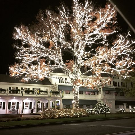 local landmark - William Penn Inn, North Wales, PA. taken at the traffic light on the way home from work - lucky shot William Penn Inn Wedding, Inn Of The Prancing Pony, Red Lion Inn, Ponte Vedra Inn And Club, William Penn, Old Edwards Inn, North Wales, Traffic Light, The Way Home