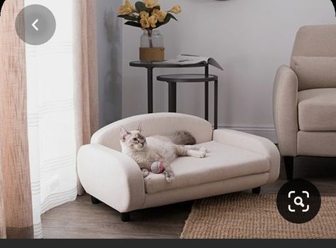 Stylish Dog Beds, French Dog, Cat Couch, Pet Sofa Bed, Pet Couches, Diy Dog Bed, Sofa Manufacturers, Beige Bed, Pet Sofa