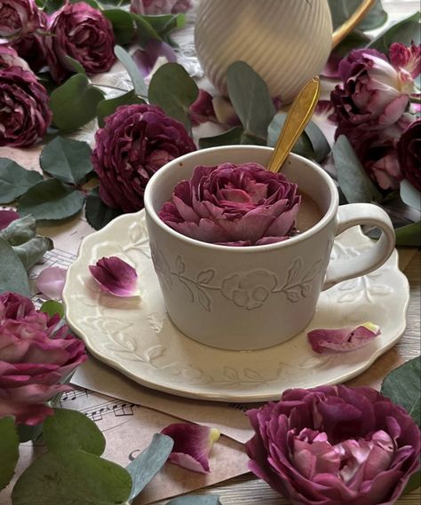 Juliana Core, Magenta Aesthetic, Tea Aesthetic, Rose Aesthetic, Magenta Rose, Good Morning Beautiful Images, Rosé Aesthetic, Aesthetic Inspiration, Morning Beautiful