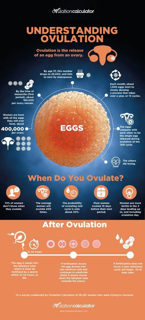 What Is Ovulation, Fertility Awareness Method, Fertility Foods, Fertility Awareness, Fertility Health, Fertility Diet, Fertility Boost, Menstrual Health, Feminine Health