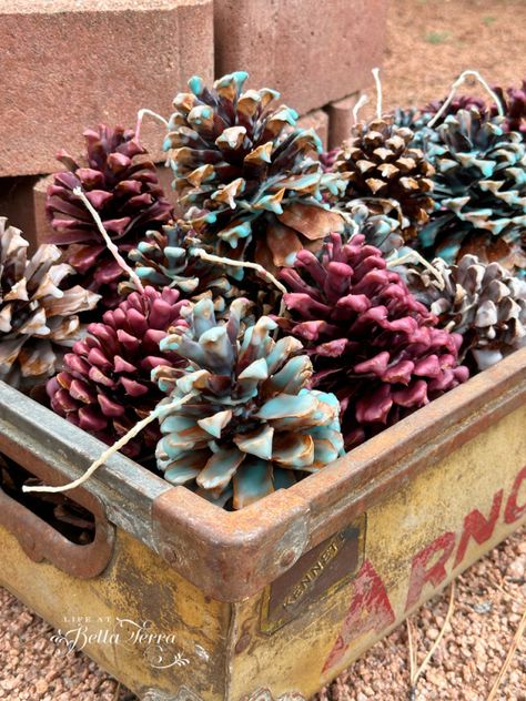 How to Make Your Own Pinecone Fire Starters | Life at Bella Terra How To Make Pinecone Fire Starters, Indoor Fire Starters Diy, Pinecone Firestarters Diy, Making Fire Starters, Pinecone Fire Starter Diy How To Make, Home Made Fire Starter, Pine Cone Fire Starter Diy, How To Make Fire Starters, Diy Fire Starters Homemade