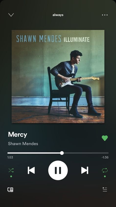 Hold On Shawn Mendes, Shawn Mendes Songs, Telefon Pintar, Bad Reputation, Me Against The World, Youtube Videos Music Songs, Rick Y Morty, Music Images, Music Album Cover