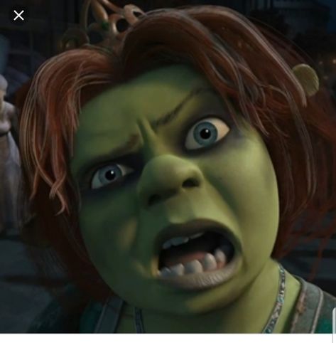 Shrek Aesthetic Cute, Rave Memes, Fiona From Shrek, Shrek Rave, Shrek Aesthetic, Horror Atmosphere, Best Jokes Ever, Funny Animations, Clean Funny Pictures