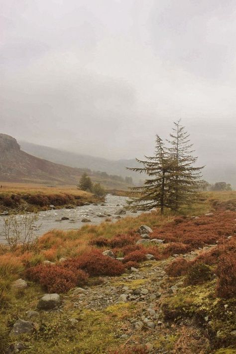 Lake District In Autumn, Autumn Aesthetic Landscape, Autumn Nature Aesthetic, Early Autumn Aesthetic, Autumn Night Aesthetic, Rainy Autumn Aesthetic, Autumn Rain Aesthetic, Autumnal Landscape, Autumn Photos