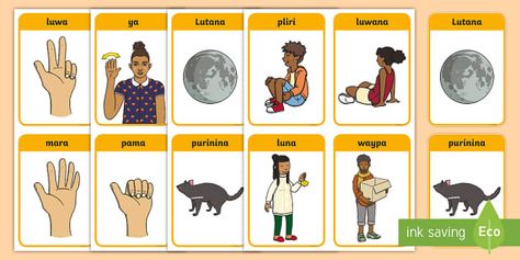 Palawa Aboriginal Language Flashcards - (ACHASSK049), Cultural Language Flashcards, Aboriginal Language, First Nations, Comics, Quick Saves