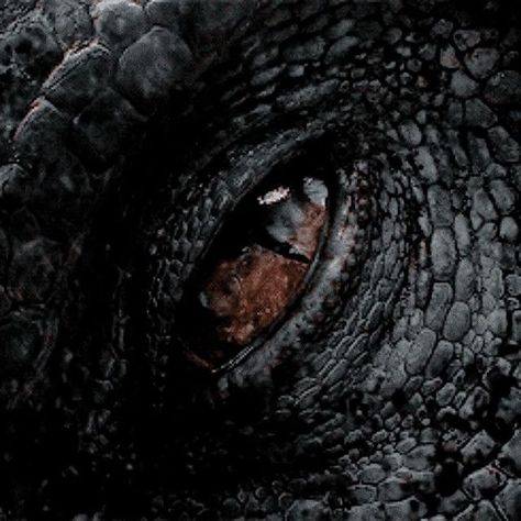 Jurassic Park 3 Spinosaurus, Regard Animal, Targaryen Aesthetic, Dragon Rider, Jurassic Park World, Dragon Eye, House Of Dragons, Fantasy Aesthetic, Throne Of Glass