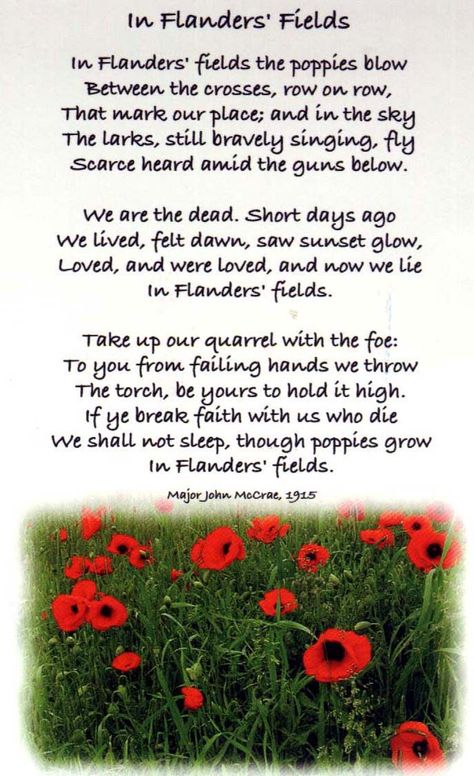 In Flanders Fields...Our sixth grade class performs this poem every year at Flanders Fields Poem, In Flanders Fields, John Mccrae, Flanders Field, Anzac Day, Lest We Forget, Remembrance Day, A Poem, God Bless America