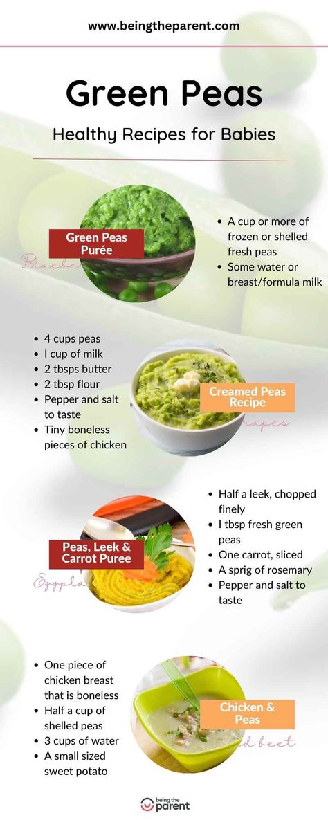 green peas recipes for babies, home made How To Cook Peas, Pea Baby Food, Benefits Of Peas, Green Peas Recipes, Dried Peas, Peas Recipes, Recipes For Babies, Beans Potatoes, Baby Food Combinations