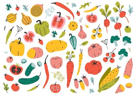 Hand drawn different kinds of vegetables... | Premium Vector #Freepik #vector #food #hand #kitchen #doodle Autumn Squash, Shadow Illustration, Vegetable Illustration, Food Doodles, Kinds Of Vegetables, Gift Card Design, Doodle Icon, Food Backgrounds, Organic Pattern