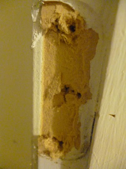 What do I need to do to fix my door hinge? - Home Improvement Stack Exchange Fix Door Frame, Door Jamb, Epoxy Glue, Door Casing, Bathroom Doors, Wall Plug, Tub Faucet, Wall Board, I Understand