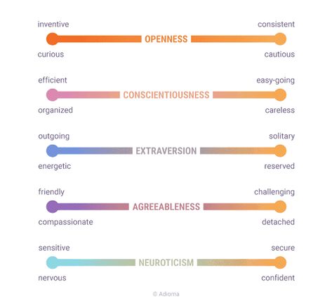 5 Personality Traits, Who Are You Quizzes, Big 5 Personality, Big Five Personality Traits, Career Quiz, Innovation Hub, The Big Five, Test Games, Dream Reality