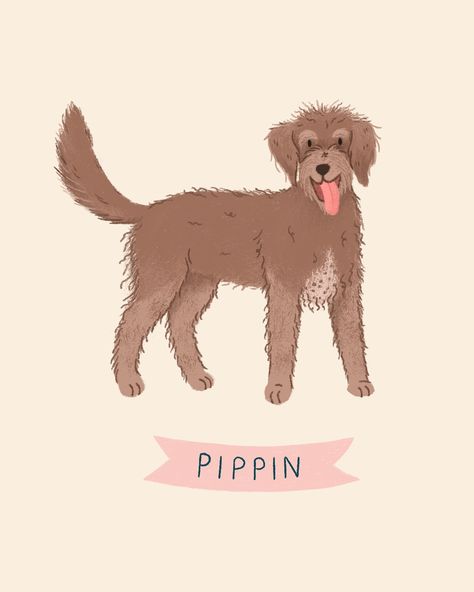 Custom pet portrait by Kaila Elders featuring Pippin the Labradoodle Labradoodle Illustration, Dog Illustration Simple, Dachshund Illustration, Tiny Canvas, Pet Portrait Paintings, Dog Portraits Art, Pet Illustration, Art Resources, Portrait Paintings