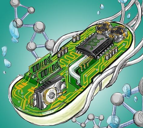 A drawing of a cell containing electrical components Control Theory, Neurological System, Medical Tech, Dna Molecule, Materials Science, Amazing Spaces, A Cell, Robot Concept Art, Group Work