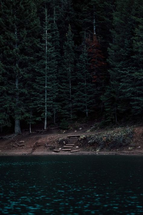 Tibble Fork | American Fork Canyon, Utah. Forks Twilight, American Fork Canyon, Camping Park, Camping Photography, Camping Places, Love The Earth, Summer Lake, Mountain Photography, Lake Forest