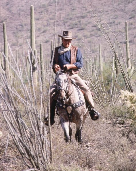 John Wayne “The Duke” Fans on Instagram: “John Wayne rides an appaloosa called Zip Cochise in El Dorado. 1966” Wayne Aesthetic, John Wayne Quotes, John Wayne Movies, Western Hero, Saguaro National Park, Historical Movies, Western Movie, Old Hollywood Stars, Dean Martin