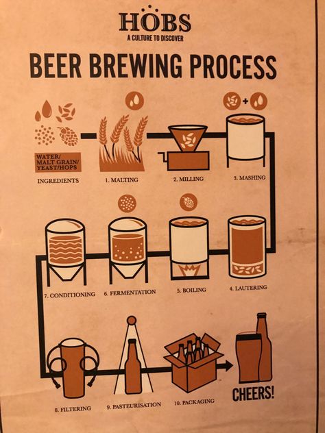 beer process Craft Beer Advertising, Home Brewery Design, Brewing Beer At Home, Bartending Basics, Beer Knowledge, Beer Making Process, Beer Production, Beer Brewing Process, Popular Alcoholic Drinks