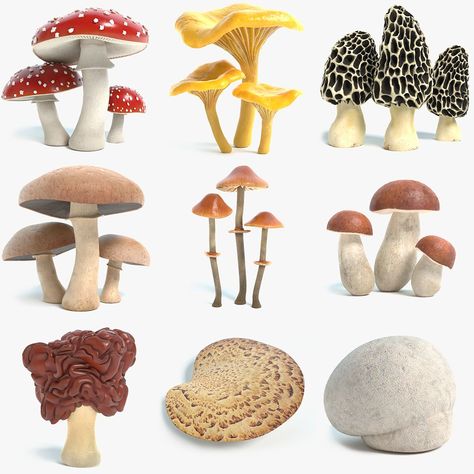 Mushroom Amanita, Mushroom 3d, Mushroom Images, Mushroom Crafts, Mushroom Fungi, Mushroom Decor, Mushroom Design, Cute Animals Images, Mushroom Art