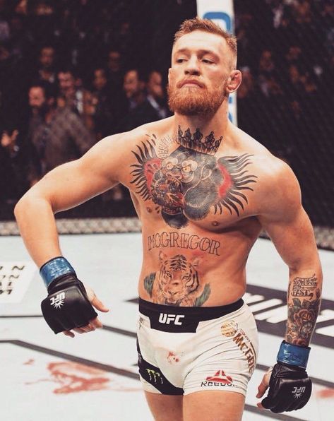 Conor Mcgregor Vs Eddie Alvarez, Coner Megrager, Connor Macgregor, Conor Macgregor, Conner Mcgregor, Conor Mcgregor Quotes, Hockey Tattoo, Ufc Conor Mcgregor, Connor Mcgregor