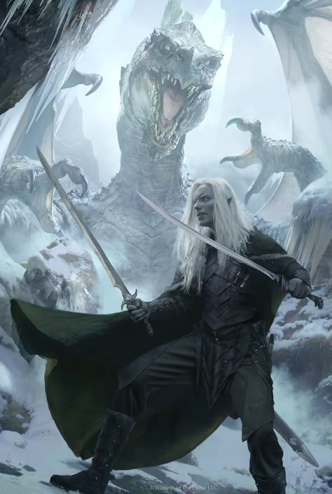 Legend Of Drizzt, Drow Male, Drizzt Do Urden, Snow Elf, Elf Art, Dark Elves, Gothic Wallpaper, Visual Dictionary, Forgotten Realms