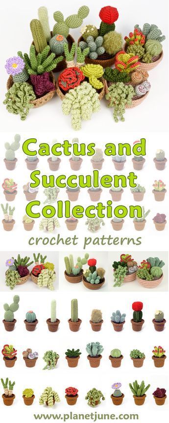 Corak Krusye, Crochet Succulent, Crochet Garden, Beautiful Cactus, Crochet Cactus, Crochet Plant, Succulent Garden, Plant Pattern, Cactus Y Suculentas