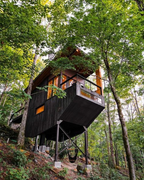 Tree House Tiny House, Tree House Cabins, Adult Tree House, Mini Cabins, Tree House Interior, Houses Around The World, Modern Tree House, Unique Stays, Glass Cabin