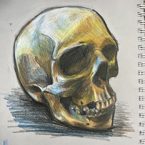 Skull Drawing Color, Shaded Skull Drawing, Sketchbook Art Inspiration Skull, Realism Drawings, Skull Pencil Drawings, Gcse Art Sketchbook Skulls, Skull Pen Sketch, Skull Sketchbook Page, Pastel Skull