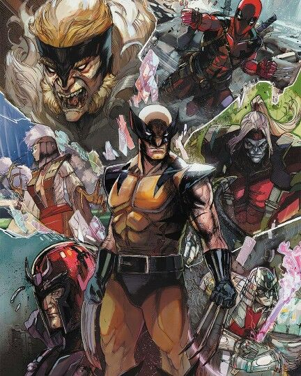 Guepardo Kon Bleach, Wolverine Artwork, Wolverine Comic, Wolverine Art, Comics Anime, Wolverine Marvel, Marvel Comic Character, Deadpool Wolverine, Uncanny X-men