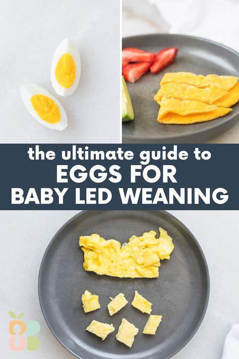 Eggs are an amazing first food for babies, especially baby led weaning! Learn everything you need to know about eggs for babies, including why they are so great for little ones, how to prepare and serve any style of eggs to babies, and BLW friendly egg recipes. Blw Eggs 6 Months, First Foods For Baby Led Weaning, Led Weaning First Foods 6 Months, Blw Eggs, Baby Led Weaning First Foods 6 Months, Baby Led Weaning 7 Months, Blw Recipes 6 Months, Baby Led Weaning Meals, Eggs For Toddlers