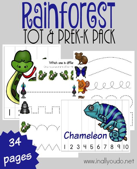 FREE Rainforest Printables & Resources | Free Homeschool Deals © Rainforest Preschool, Rainforest Crafts, Kiddie Academy, Homeschool Units, Safari Classroom, Preschool Jungle, Rainforest Activities, Elementary Printables, April Activities