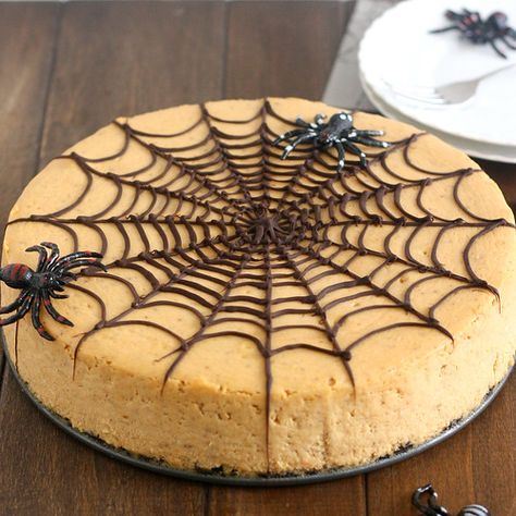 Spiced Pumpkin Spiderweb Cheesecake | Tracey's Culinary Adventures Spiderweb Pumpkin, Chocolate No Bake, Pumpkin Spice Cheesecake, Pumpkin Cheesecake Recipes, Spiced Pumpkin, Halloween Desserts, Fall Food, Cheesecake Recipe, Pumpkin Cheesecake