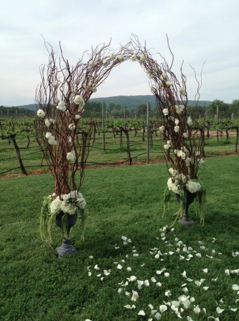 Today I want to focus on the ceremony details from Liz’s wedding at Keswick Vineyards.  I pretty much stole this gorgeous image off of facebook – as taken by their talented photographer Liz Maryann! All of the bridesmaids had different bouquets and then we put rose petals for the aisle. We made Liz’s custom curly … Willow Archway Wedding, Willow Arch Wedding, Curly Willow Arch, Willow Archway, Willow Wedding Arch, Willow Arbor, Grapevine Arch, Curly Willow Wedding, Willow Arch