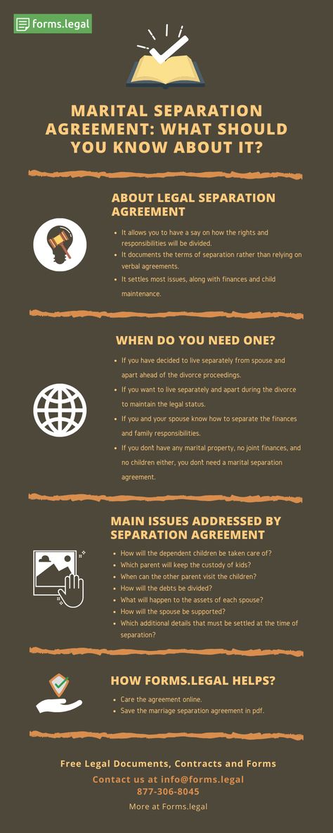 Separation Agreement Template, Cat Infographic, Legal Separation, Cat Humor, Blonde Cat, Business Analysis, Cat Top, Business Analyst, Bed Bugs