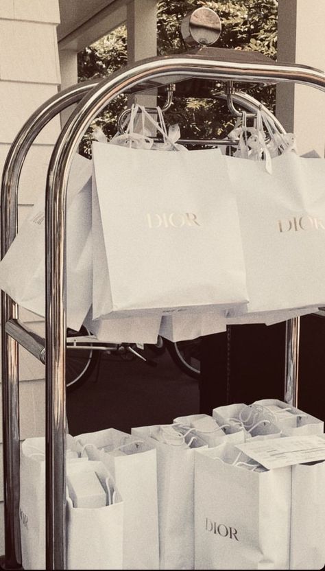 Dior Model Aesthetic, Rich Girl Shopping, Gossip Girl Lifestyle, Dior Girl Aesthetic, Miss Dior Aesthetic, Ralph Lauren Love, Dior Clothing, Saint Laurent Fashion, Dior Aesthetic