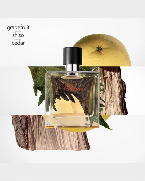 C0TLD Hermes Terre d'Hermes Parfum, 2.5 oz. Hermes Fragrance, Woody Perfume, Hermes Perfume, Key Notes, Perfume Set, The Perfume, Spicy Fragrance, Hair Perfume, Perfume Gift Sets